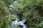 river6.JPG