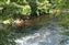 riverdart4.JPG